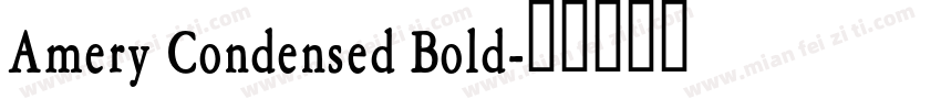 Amery Condensed Bold字体转换